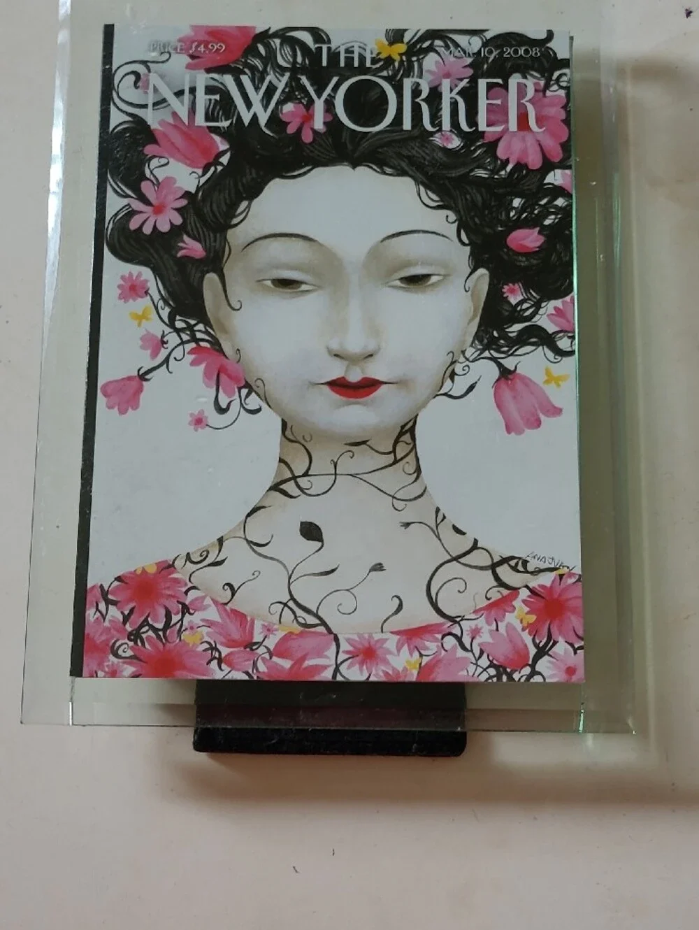 Glass Framed Home Art Picture Photo Glass Frame